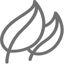 leaves icon